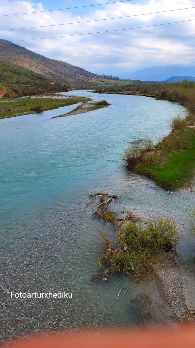 339908090_1284321895767443_6476149338052424692_n